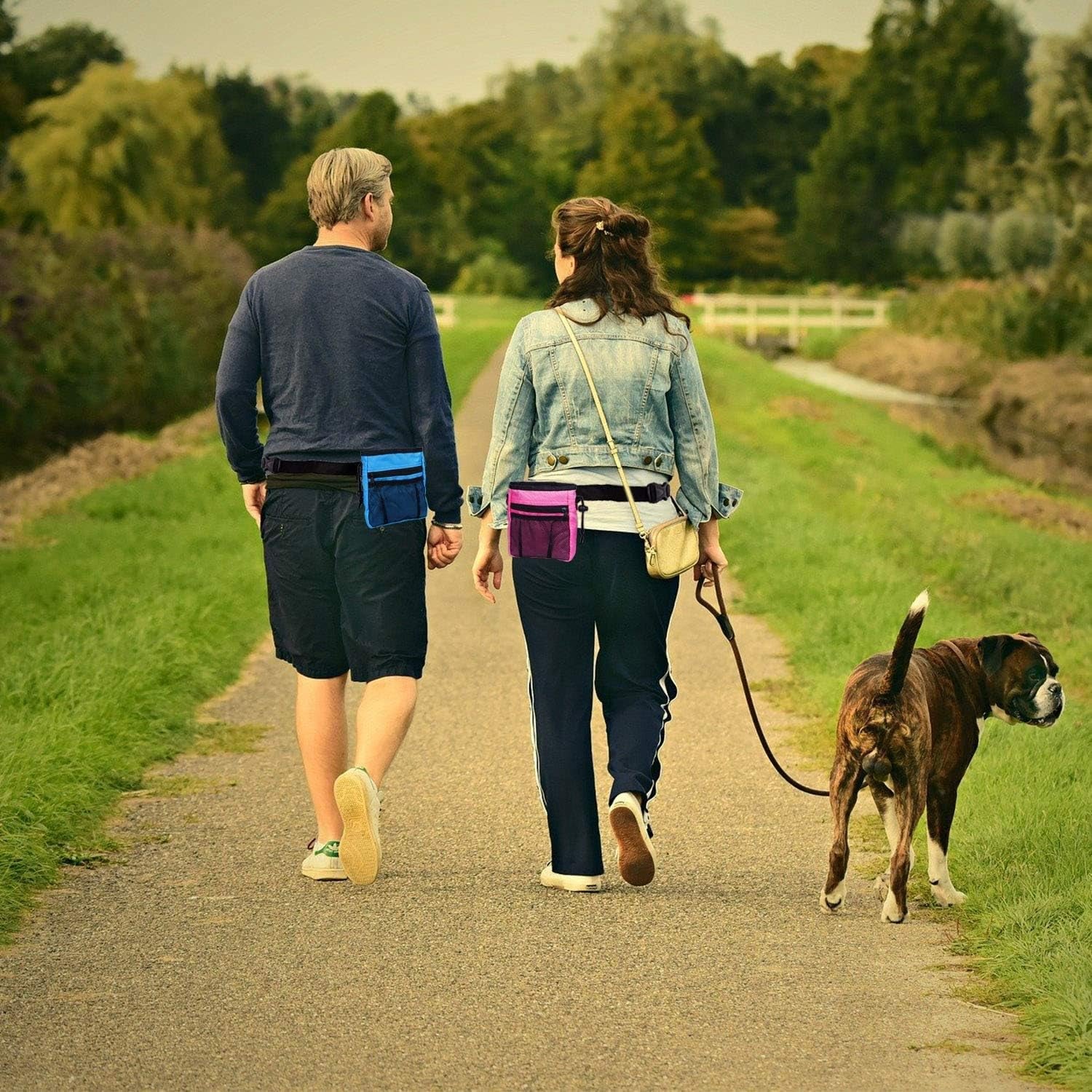 4-in-1 Dog Training Set