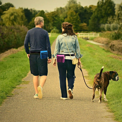 4-in-1 Dog Training Set