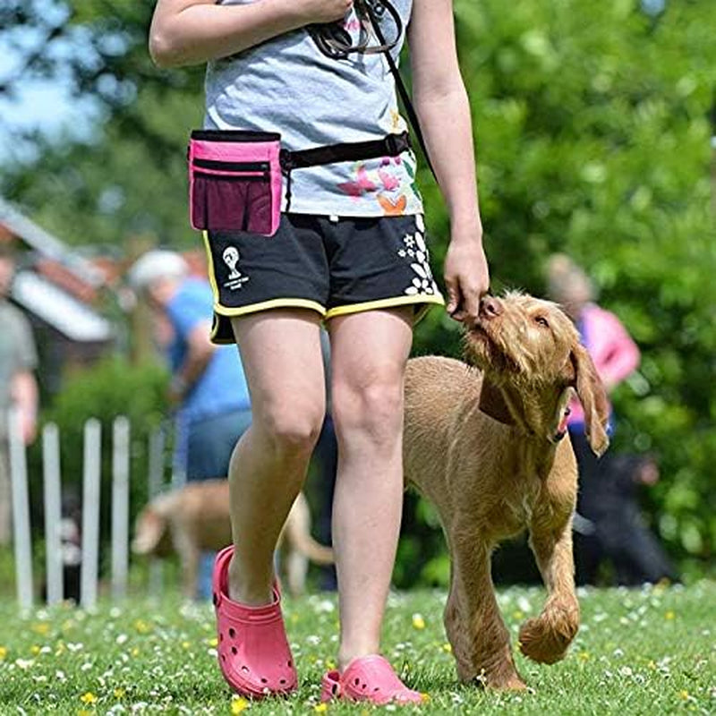 4-in-1 Dog Training Set